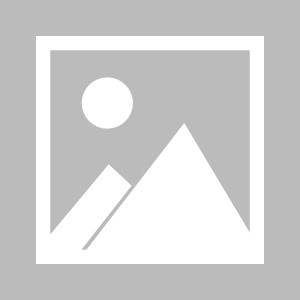 【巴西杯】布拉干RBvs博塔弗戈伤病名单最新(2025年08月07日)